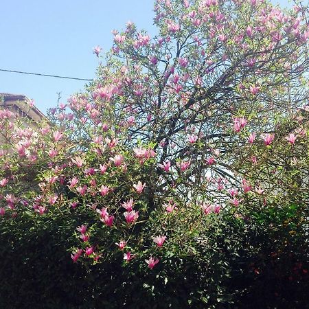 La Magnolia Apartman Riccò del Golfo di Spezia Kültér fotó