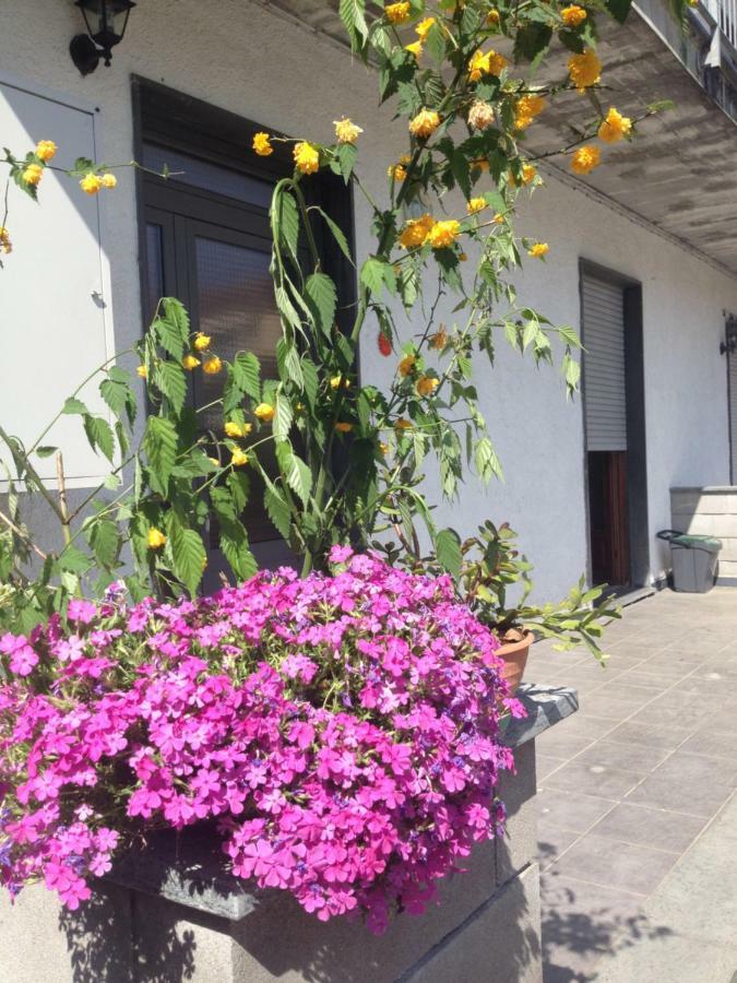 La Magnolia Apartman Riccò del Golfo di Spezia Kültér fotó