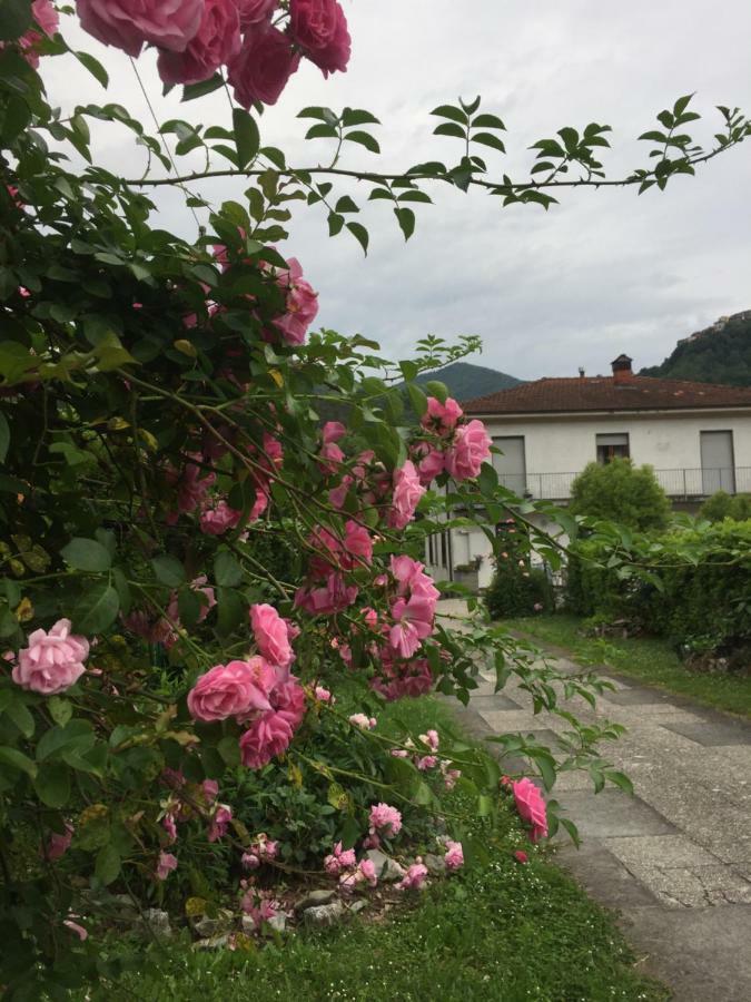 La Magnolia Apartman Riccò del Golfo di Spezia Kültér fotó