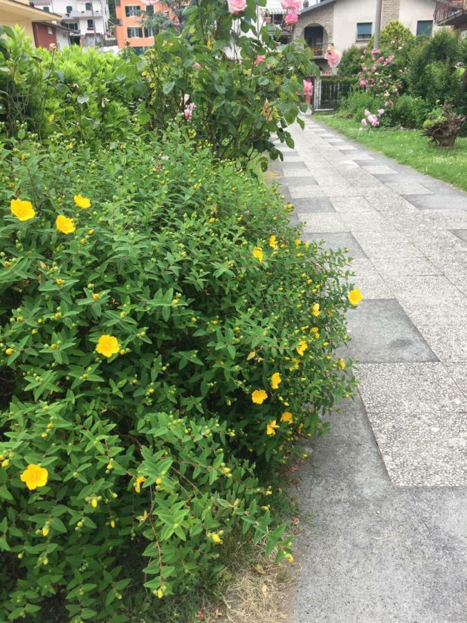 La Magnolia Apartman Riccò del Golfo di Spezia Kültér fotó