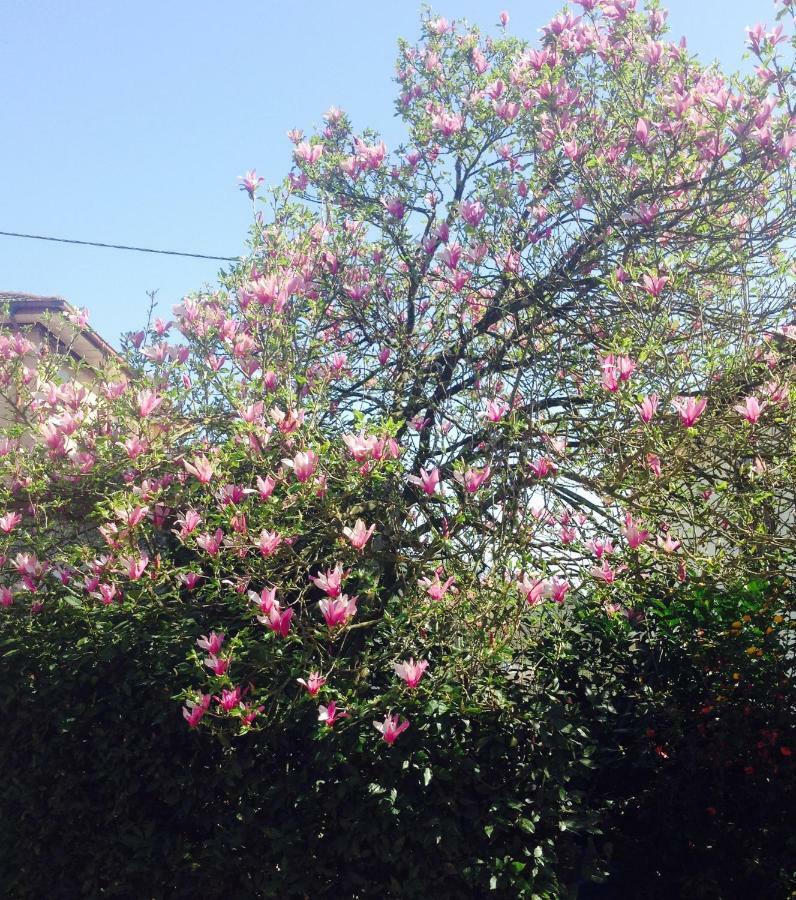 La Magnolia Apartman Riccò del Golfo di Spezia Kültér fotó