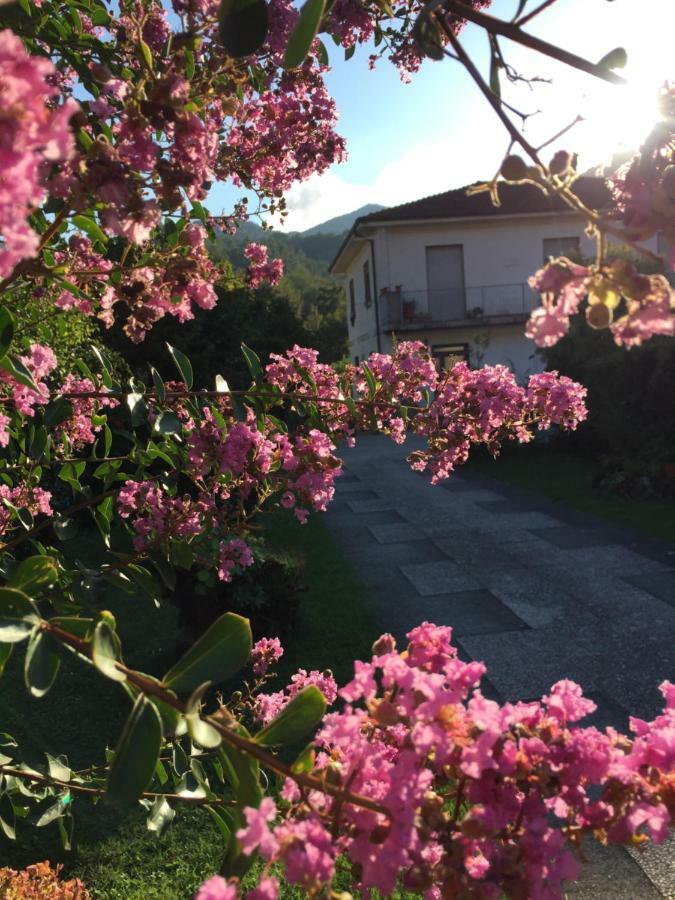 La Magnolia Apartman Riccò del Golfo di Spezia Kültér fotó